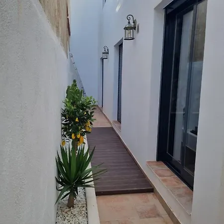 Apartment Casa Lina Del Mar Oliva